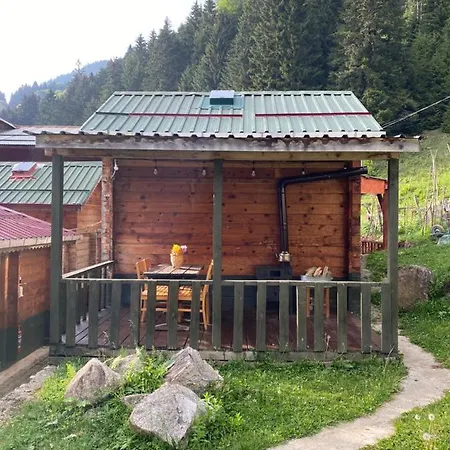 Pilita Bungalov&Rest Ayder Yaylasi Exterior photo