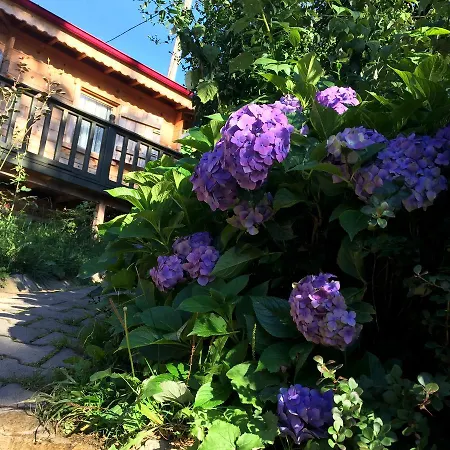 Pilita Bungalov&Rest Ayder Yaylasi Exterior photo